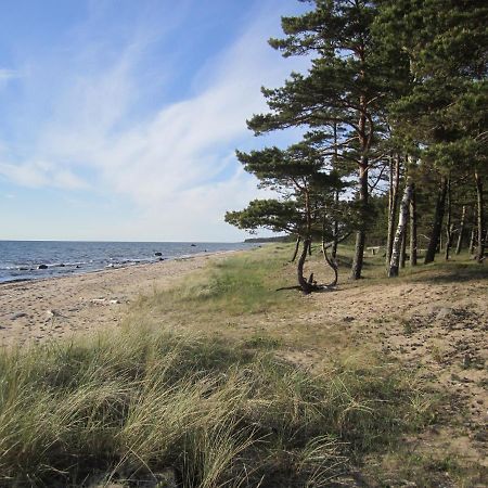 Tahkuna Forest House Korgessaare Bagian luar foto