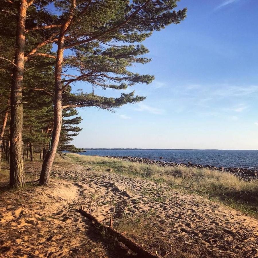 Tahkuna Forest House Korgessaare Bagian luar foto