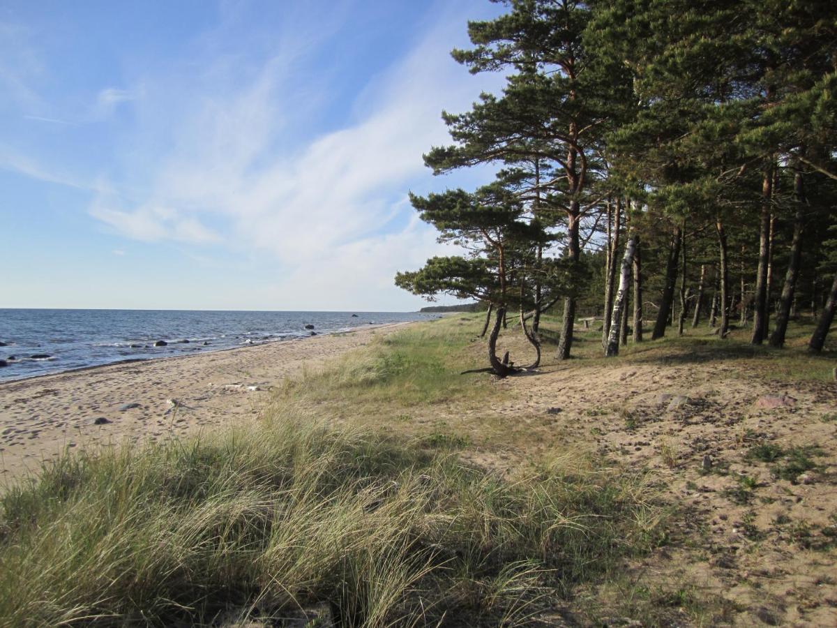 Tahkuna Forest House Korgessaare Bagian luar foto